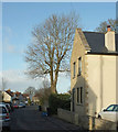 House on Newmans Lane, Timsbury