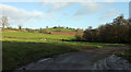 ST6557 : Farmland, Broom Hill Farm by Derek Harper