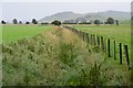 NS9831 : Field drain near Lamington Mains by Jim Barton