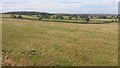 Path heading to Furzenfield Farm