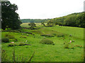 View from the churchyard, Kildale