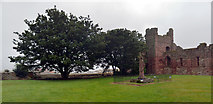 NU1241 : St. Mary's Churchyard, Lindisfarne by habiloid