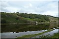 Looking across the river