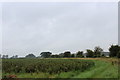 Countryside beside the B6271 opposite Langton Grange