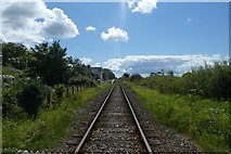 SH6136 : Railway near Talsarnau station by DS Pugh