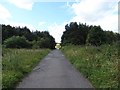 Looking south along the old railway