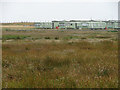 Saltmarsh and caravans at Penllyn