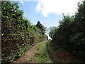 Footpath to Thrussington