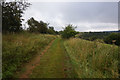 Minster Way towards Hawold Bridle Road