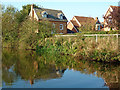 Staffordshire and Worcestershire Canal near Penkridge