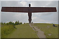 NZ2657 : The Angel Of The North by habiloid