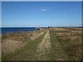 TR2169 : Path across Reculver Country Park on the way to Reculver by Marathon