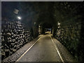 Bath : Devonshire Tunnel