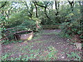 Llwybr ger Gelli-dywyll / Path near Gelli-dywyll