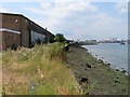 Low tide on the Itchen