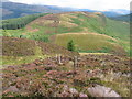 NN5502 : Menteith Hills ridge near Bealach Cumhang by Chris Wimbush
