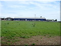 Cattle sheds at Plas Llangwyfan