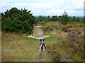 TQ4631 : Distance Dial, Ashdown Forest by Simon Carey