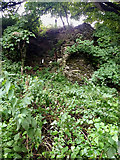 SE9790 : Ruins of lime kiln by Mick Garratt