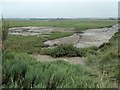 TF7544 : Volunteer marsh and Parrinder hide, RSPB Titchwell by Christine Johnstone