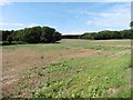 Fields, at Hortswood Farm