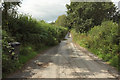 Lane to Combeshead Cross