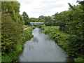 River Nene towards Towcester Road bridge, Northampton