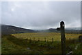 Public footpath towards the Roaches.