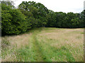 Bridleway near Leas Head Farm, Sneaton