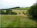 Bridleway between Leas Head Farm and Foss Farm