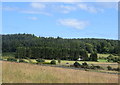 View from Gairnhill Wood