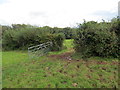 Llwybr ger Minyrafon / Path near Minyrafon