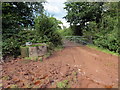 Llwybr ger Pantycwarre / Path near Pantycwarre