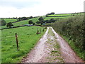 Llwybr ger Plasgwyn / Path near Plasgwyn