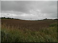 NH7448 : Ploughed field at Newton of Petty by Douglas Nelson