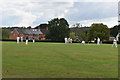 Cricket on the recreation ground at Swanmore