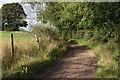 SU5817 : Green Lane near Upper Swanmore by David Martin