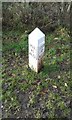 Leeds and Liverpool Canal Milestone