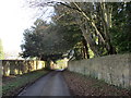 Lane at Thorpe Mandeville