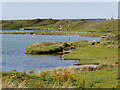 SD2262 : South Walney Nature Reserve, Lagoon by David Dixon