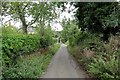 NY9964 : Deadridge Lane, Corbridge by Andrew Curtis