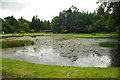 Curling Pond