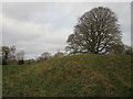 Castle ringwork, Culworrth