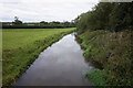 SK6491 : River Ryton from Mill Lane, Scrooby by Ian S