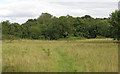 Open land at Merrymeade Country Park, Brentwood