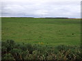 Pasture off the A90 near Skypeleton
