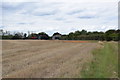 Field of stubble by Lower Farm