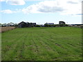 Cut silage field towards Belfatton Farm