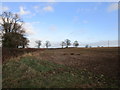 Stubble field near Woodford Lodge