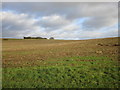 Stubble field near Castle Ashby